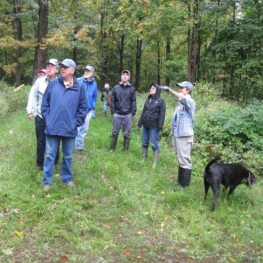 people and dog in a green wooded area