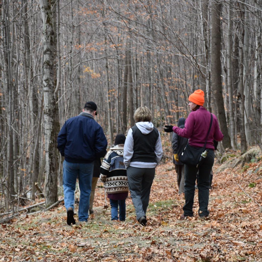 people walking in the woods with dead leaves on the ground