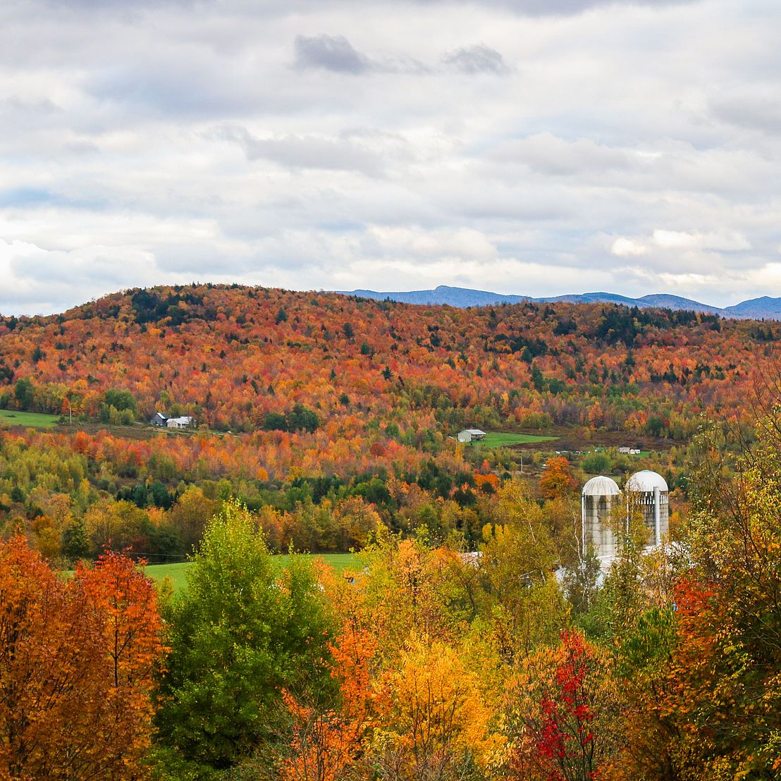 fall foliage with mountains in the distance