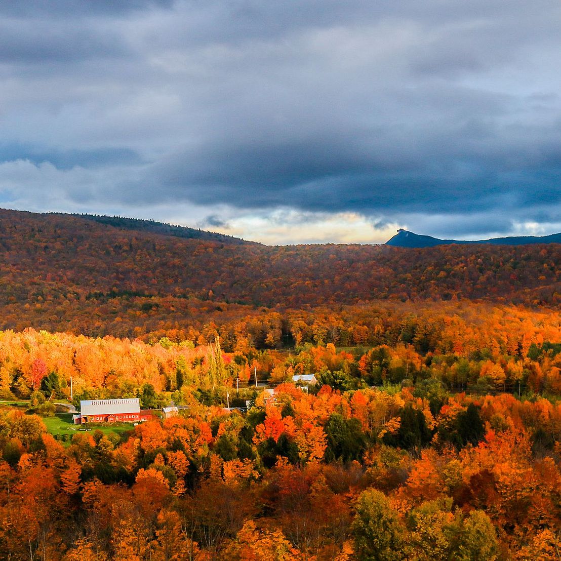 fall foliage with mountains in distance